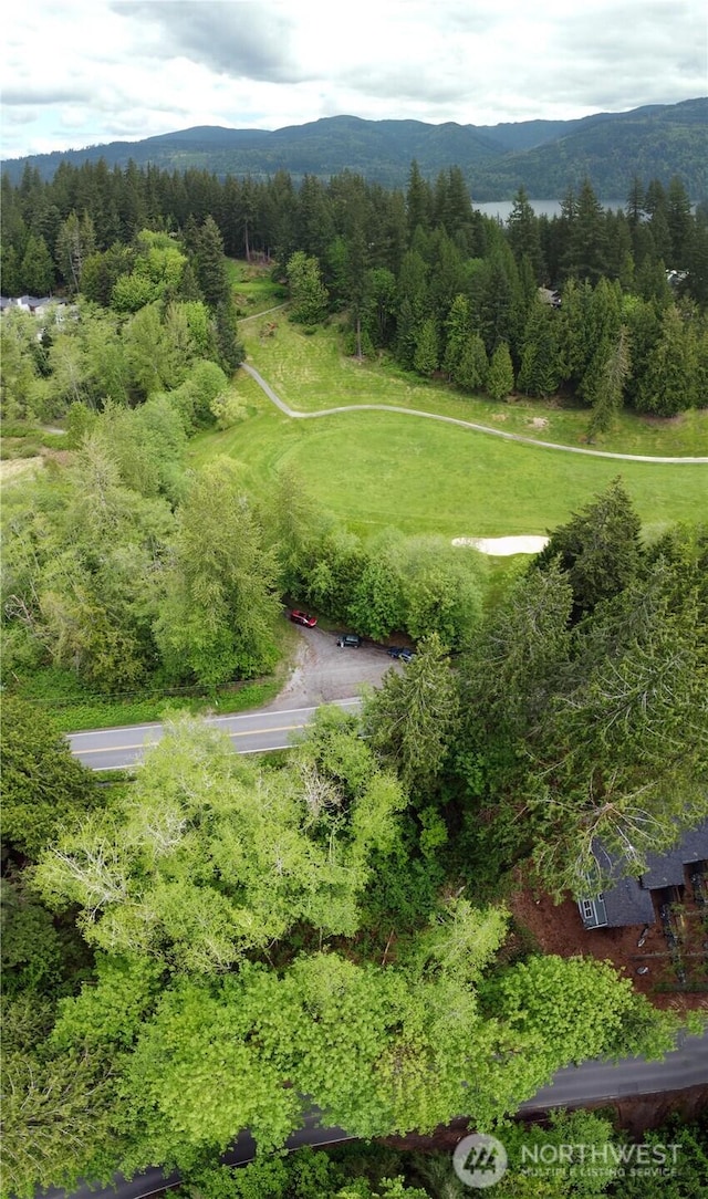 15 Sudden Valley Dr, Bellingham, WA 98229 - drone / aerial view of a mountainous background and a heavily wooded area