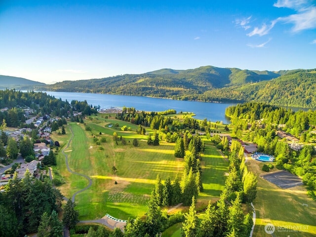 15 Sudden Valley Dr, Bellingham, WA 98229 - bird's eye view of a water and mountain view