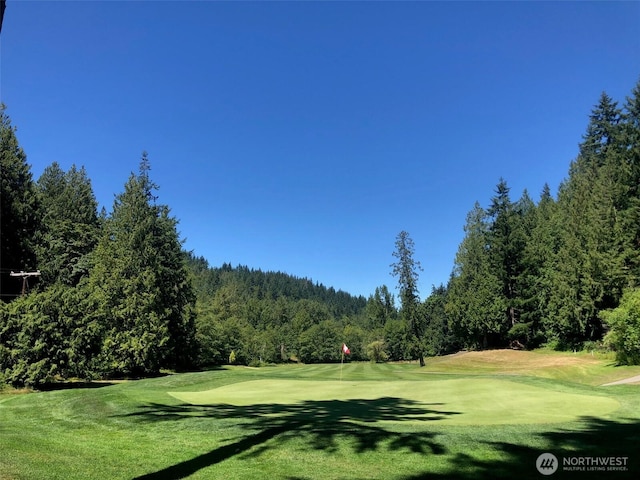 15 Sudden Valley Dr, Bellingham, WA 98229 - photo 7