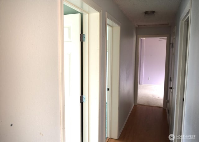 81 Ridge Pl, Sequim, WA 98382 - hall with light wood-style flooring and baseboards