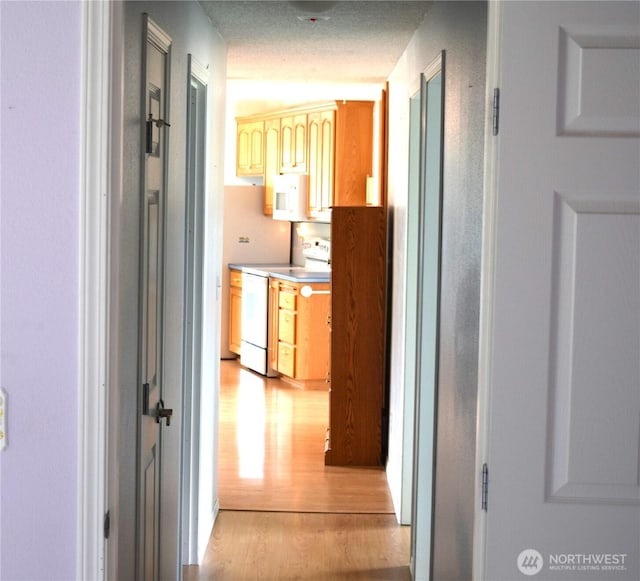 81 Ridge Pl, Sequim, WA 98382 - hallway featuring light wood-style floors