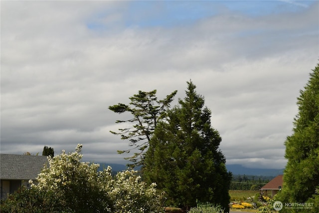 81 Ridge Pl, Sequim, WA 98382 - water view