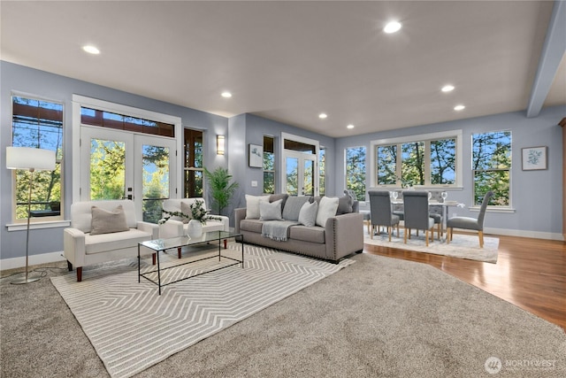 1 Valley View Cir, Bellingham, WA 98229 - living room with french doors, recessed lighting, plenty of natural light, and wood finished floors