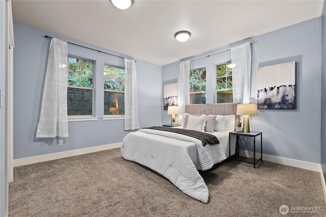 1 Valley View Cir, Bellingham, WA 98229 - carpeted bedroom featuring baseboards
