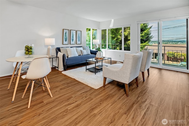 303 N 44th St Unit 105, Seattle, WA 98103 - living room featuring light wood-style floors and baseboards