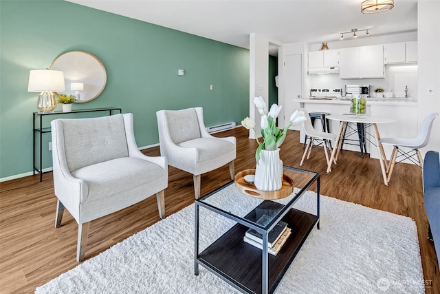 303 N 44th St Unit 105, Seattle, WA 98103 - living area with a baseboard heating unit and light wood-type flooring