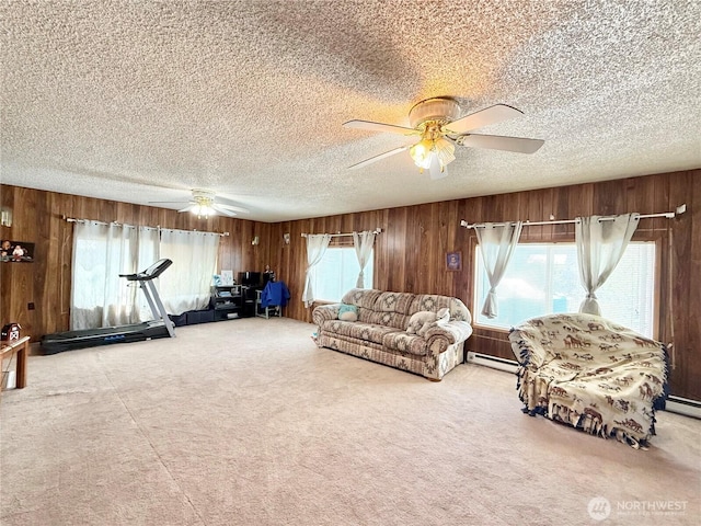 522 Golden St, Oroville, WA 98844 - photo 18