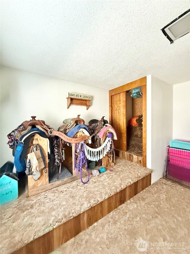 522 Golden St, Oroville, WA 98844 - photo 27