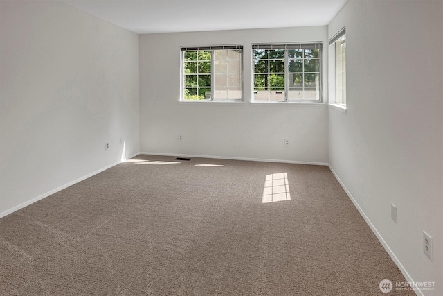 11512 NE 115th Ct, Kirkland, WA 98033 - photo 22