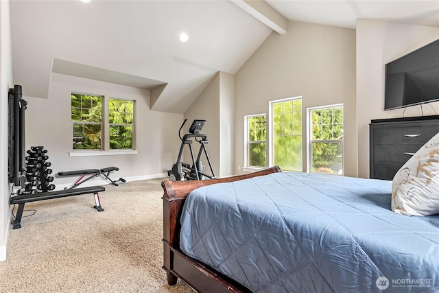 61 Windward Dr, Bellingham, WA 98229 - photo 23