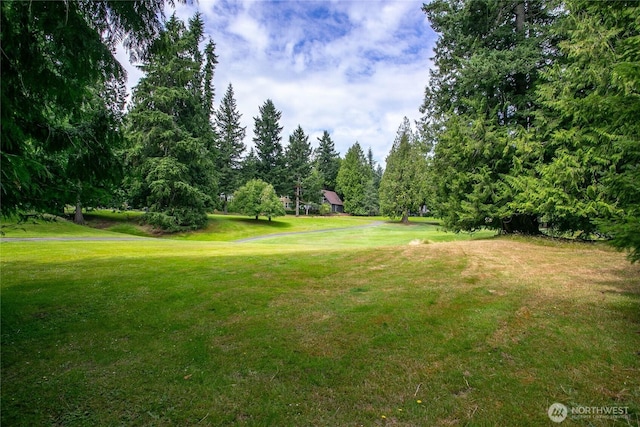 61 Windward Dr, Bellingham, WA 98229 - photo 28