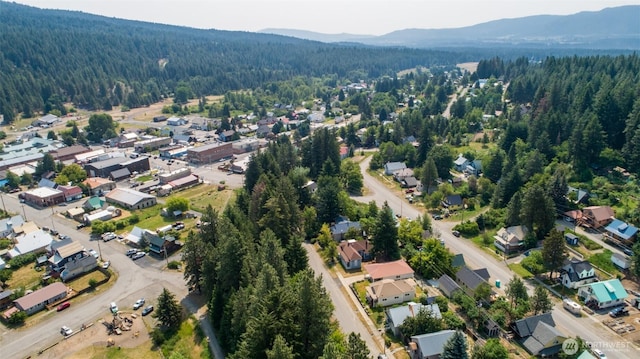 114 4th St, Roslyn, WA 98941 - photo 31