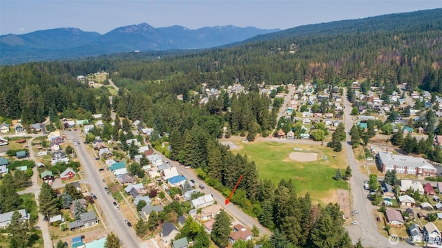 114 4th St, Roslyn, WA 98941 - photo 32