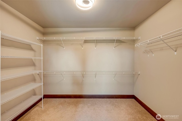 5728 SE 159th Ave, Snohomish, WA 98290 - walk in closet with carpet flooring