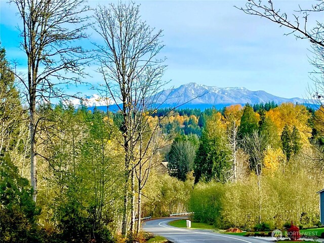5728 SE 159th Ave, Snohomish, WA 98290 - view of mountain backdrop with a heavily wooded area