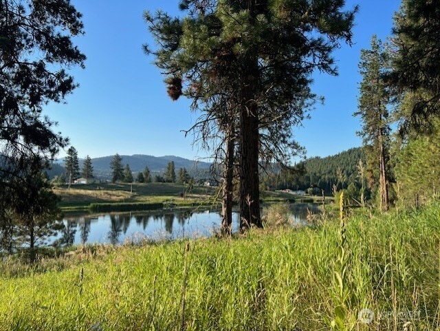 18 Woods Rd, Republic, WA 99166 - photo 3