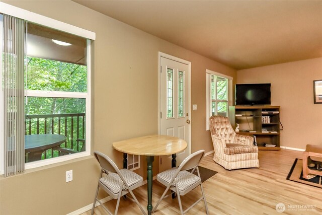 278 Osborn Rd, Ashford, WA 98304 - photo 8