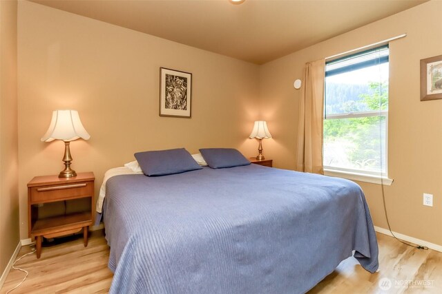 278 Osborn Rd, Ashford, WA 98304 - photo 12