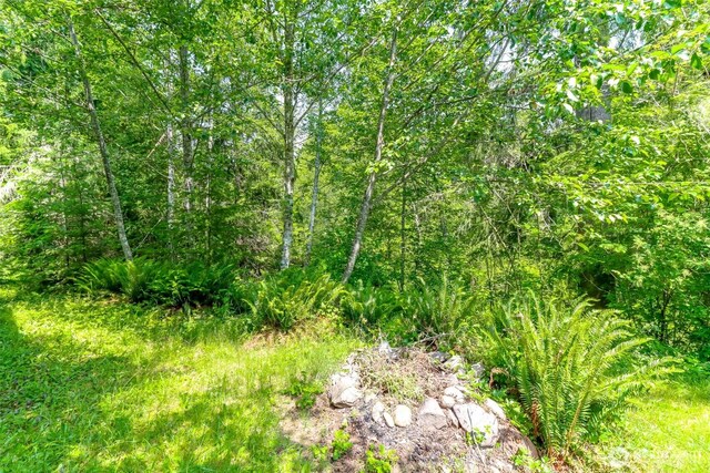 278 Osborn Rd, Ashford, WA 98304 - photo 21