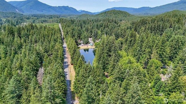 278 Osborn Rd, Ashford, WA 98304 - photo 25