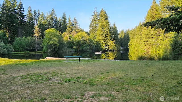 278 Osborn Rd, Ashford, WA 98304 - photo 29
