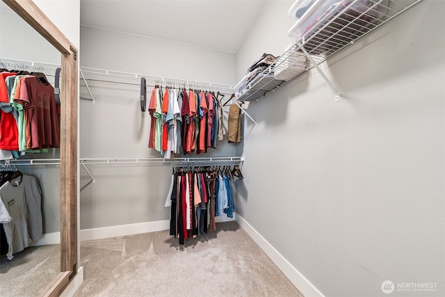 19010 133rd Street Ct E, Bonney Lake, WA 98391 - photo 20