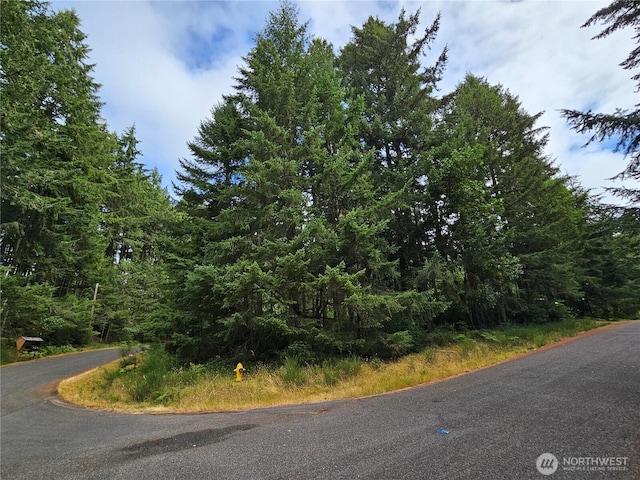 9325 123rd Ave, Anderson Island, WA 98303 - photo 1