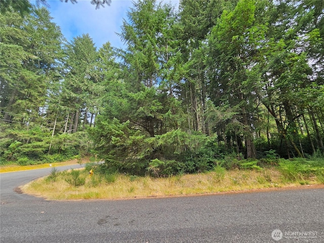 9325 123rd Ave, Anderson Island, WA 98303 - photo 2