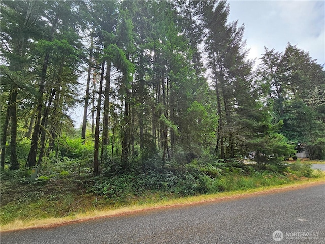 9325 123rd Ave, Anderson Island, WA 98303 - photo 3