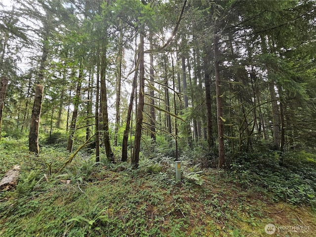 9325 123rd Ave, Anderson Island, WA 98303 - photo 4