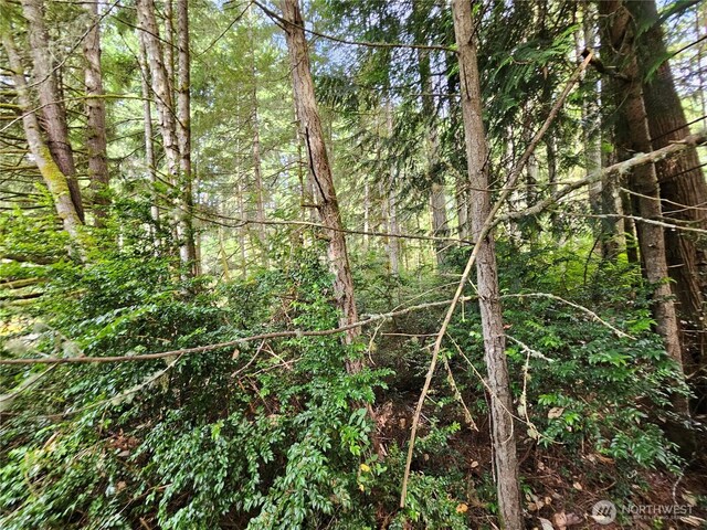 9325 123rd Ave, Anderson Island, WA 98303 - photo 5