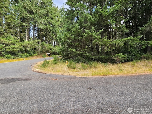 9325 123rd Ave, Anderson Island, WA 98303 - photo 7