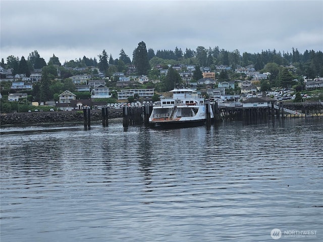 9325 123rd Ave, Anderson Island, WA 98303 - photo 9