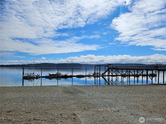 9325 123rd Ave, Anderson Island, WA 98303 - photo 10