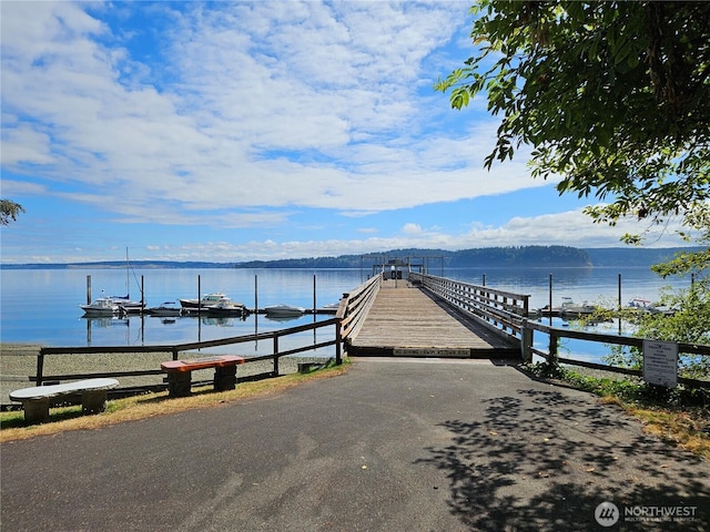 9325 123rd Ave, Anderson Island, WA 98303 - photo 11
