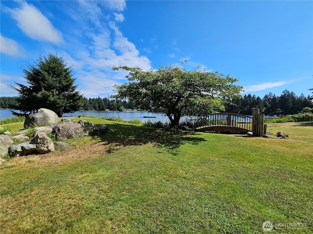 9325 123rd Ave, Anderson Island, WA 98303 - photo 14