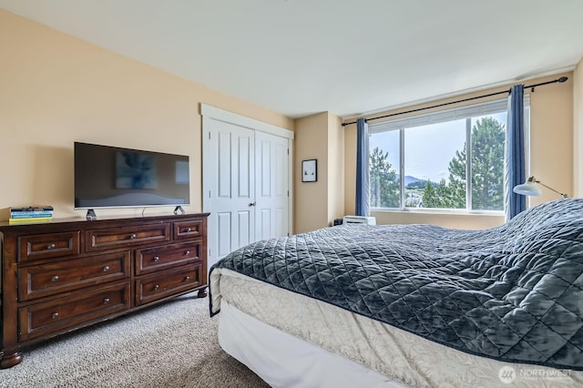 23120 SE Black Nugget Rd Unit D1, Issaquah, WA 98029 - bedroom featuring light colored carpet and a closet