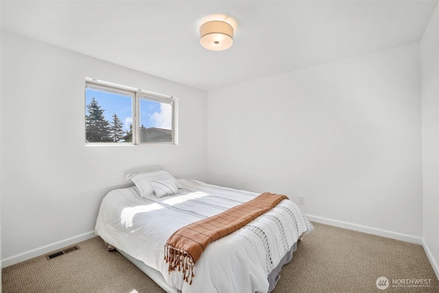 6084 Summit View Pl, Ferndale, WA 98248 - bedroom with baseboards and carpet floors