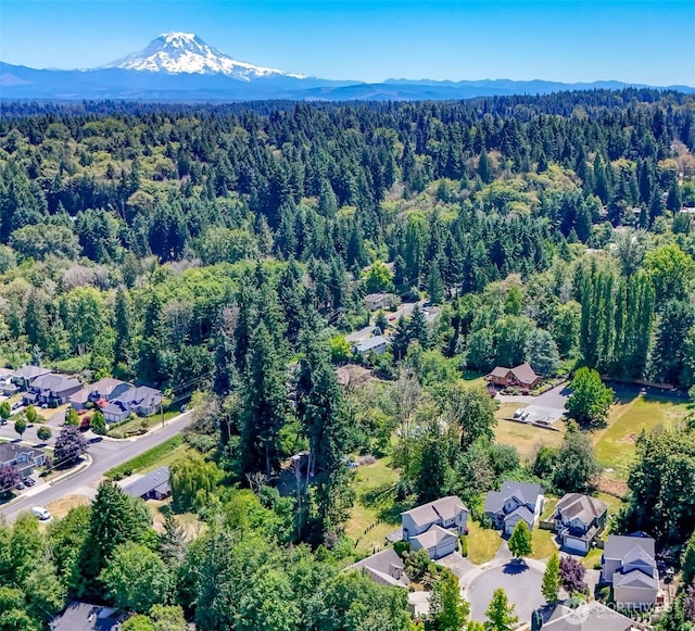 1609 7th Street Pl SE, Puyallup, WA 98372 - photo 37