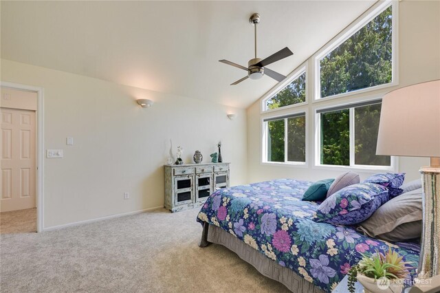 9912 121st Ave NE, Lake Stevens, WA 98258 - photo 17