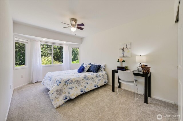 9912 121st Ave NE, Lake Stevens, WA 98258 - photo 22