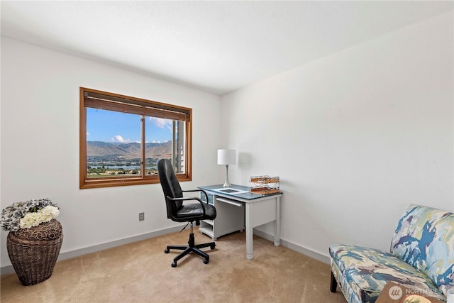71 Blue Grade Rd, East Wenatchee, WA 98802 - office space with light colored carpet and baseboards