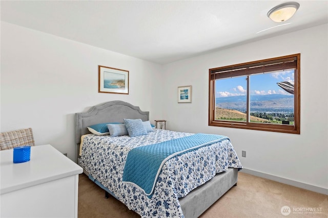 71 Blue Grade Rd, East Wenatchee, WA 98802 - bedroom with light carpet