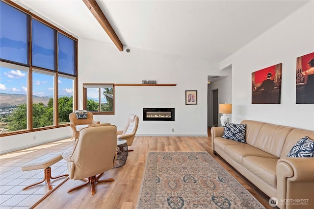 71 Blue Grade Rd, East Wenatchee, WA 98802 - living room featuring wood finished floors, beamed ceiling, a glass covered fireplace, and high vaulted ceiling