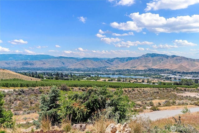 71 Blue Grade Rd, East Wenatchee, WA 98802 - view of mountain backdrop