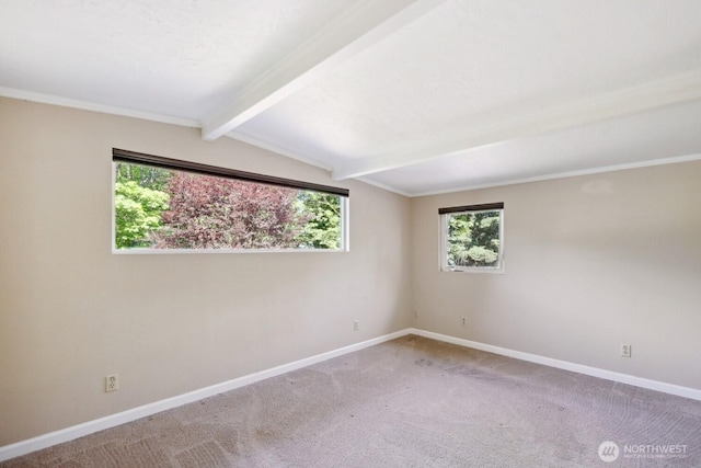 1111 Garrison Ave, Port Orchard, WA 98366 - empty room with plenty of natural light and carpet flooring