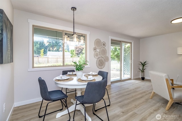 1626 E 59th St, Tacoma, WA 98404 - dining area featuring light wood finished floors and a textured ceiling
