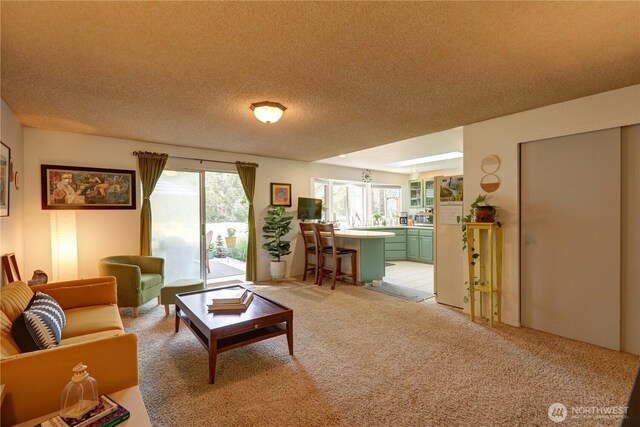 151E Country Club Dr W, Union, WA 98592 - photo 18