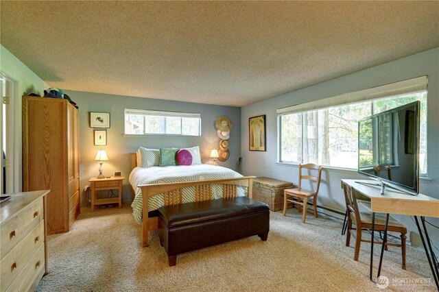 151E Country Club Dr W, Union, WA 98592 - photo 19