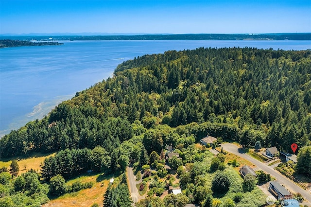 27727 94th Ave SW, Vashon, WA 98070 - aerial view of a heavily wooded area and a nearby body of water